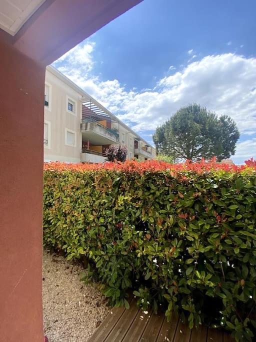 Lou Cameou Apartment Marseillan  Exterior photo